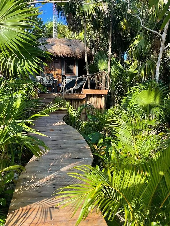 Villa Casa Tolok In Tulum Beachfront